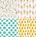 Berries and flowers patterns