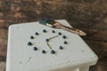 berries folded in a circle in the shape of a clock. blue paint brush