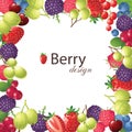 Berries frame Royalty Free Stock Photo