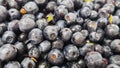 berries are fresh beautiful blueberries close-up. summer