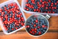 Blueberries and lingonberries, Finland Royalty Free Stock Photo