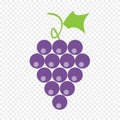 Berries grape with liveas on transparent background. Vine grape with liveas vector icon