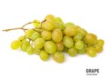 Berries of green bunch of grape isolated on white background. Royalty Free Stock Photo