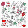 Berries Hand Drawn Doodle. Outline Berry Set with Grape, Cherry and Strawberry