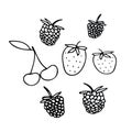 Berries hand drawn set in doodle style. Scandinavian simple monochrome liner. cherry, raspberry, strawberry collection