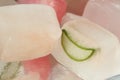Berry and Herbal Ice: Bright colored frozen cubes Royalty Free Stock Photo