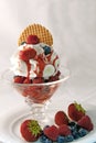 Berries ice cream Royalty Free Stock Photo
