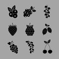 Berries icon set. Black sign wild berries with white outline. Berry icon isolated. Flat icon strawberry, blueberry, raspberry Royalty Free Stock Photo