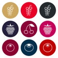 Berries icon set in muted tones Royalty Free Stock Photo