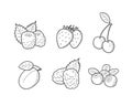 Berries Illustrations Set Royalty Free Stock Photo