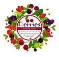 Berries isolated emblem cherry and currant strawberry and barbaris