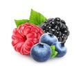 Berries mix isolated - blueberry, raspberry and blackberry on white background Royalty Free Stock Photo