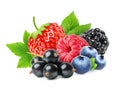 Berries mix isolated - strawberry, blueberry, currant, raspberry and blackberry on white background Royalty Free Stock Photo
