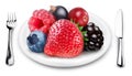 Berries mix on a plate. Royalty Free Stock Photo