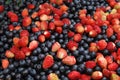 Berries mixture Royalty Free Stock Photo