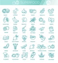 Superfoods line vector icons. Health and diet