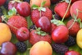 Berries overhead closeup colorful assorted mix of strawberry, blueberry, raspberry, blackberry, red currant in studio on Royalty Free Stock Photo