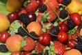 Berries overhead closeup colorful assorted mix of strawberry, blueberry, raspberry, blackberry, red currant in studio on Royalty Free Stock Photo