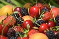 Berries overhead closeup colorful assorted mix of strawberry, blueberry, raspberry, blackberry, red currant in studio on Royalty Free Stock Photo