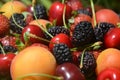 Berries overhead closeup colorful assorted mix of strawberry, blueberry, raspberry, blackberry, red currant in studio on Royalty Free Stock Photo