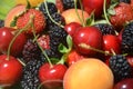 Berries overhead closeup colorful assorted mix of strawberry, blueberry, raspberry, blackberry, red currant in studio on Royalty Free Stock Photo