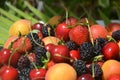 Berries overhead closeup colorful assorted mix of strawberry, blueberry, raspberry, blackberry, red currant in studio on Royalty Free Stock Photo