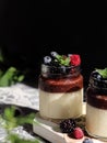 Berries panna cotta Royalty Free Stock Photo