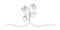 Berries on plant in one continuous line drawing. Fruit and strawberries in simple linear style. Label for jam and yogurt Royalty Free Stock Photo