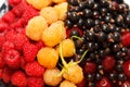 Berries plate, ripe assorted, cherries, white and red raspberries and currants