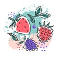 Berries : raspberries, blackberries, strawberries on an abstract background. Packaging design. Vector hand illustration
