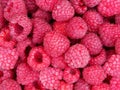 Berries raspberry