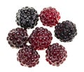 berries raspberry blackberries against white background Royalty Free Stock Photo