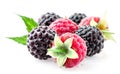 Berries. Raspberry with blackberry on white
