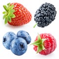 Berries - raspberry, strawberry, blueberry, mulberry. Collection isolated Royalty Free Stock Photo