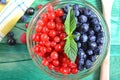 Berries of red and blue close-up on a green background Royalty Free Stock Photo