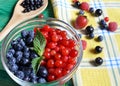 Berries of red and blue close-up on a green background Royalty Free Stock Photo