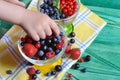 Berries of red-blue color on a green background healthy food Royalty Free Stock Photo