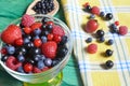 Berries of red-blue color on a green background healthy food Royalty Free Stock Photo