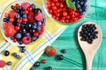 Berries of red-blue color on a green background healthy food Royalty Free Stock Photo