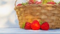 Berries of red garden strawberries in a wicker basket are collected from the garden in summer Royalty Free Stock Photo