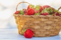 Berries of red garden strawberries in a wicker basket are collected from the garden in summer Royalty Free Stock Photo