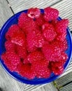 Berries of red large-fruited raspberries in blue cup