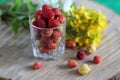 Berries of red and white garden strawberries in a glass glass on a wooden background with yellow flowers macro Royalty Free Stock Photo