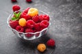 Berries red and yellow raspberries Royalty Free Stock Photo