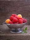 Berries red and yellow raspberries Royalty Free Stock Photo