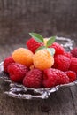 Berries red and yellow raspberries in a metal bowl Royalty Free Stock Photo