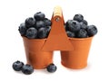 Berries of ripe blueberries in two orange buckets, and scattered in front of them, on a white background. Royalty Free Stock Photo