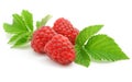 Berries ripe raspberry with leaf isolated Royalty Free Stock Photo