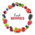 Berries round frame Royalty Free Stock Photo