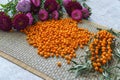 Berries of sea-buckthorn on a table, together with a bouquet of asters